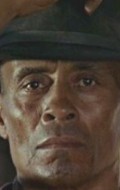 Woody Strode - bio and intersting facts about personal life.