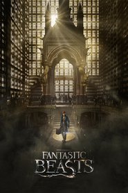 Fantastic Beasts and Where to Find Them - latest movie.