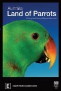 Australia: Land of Parrots - wallpapers.
