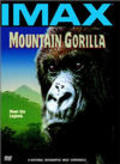 Mountain Gorilla pictures.