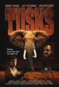 Tusks pictures.