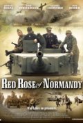 Red Rose of Normandy pictures.