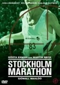 Stockholm Marathon pictures.
