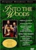 Into the Woods pictures.