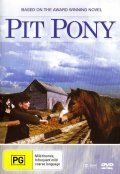 Pit Pony - wallpapers.
