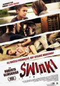 Swinki - wallpapers.