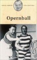 Opernball pictures.