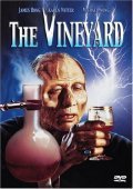 The Vineyard pictures.