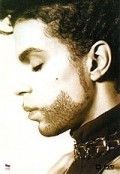 Prince: The Hits Collection - wallpapers.