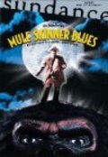 Mule Skinner Blues pictures.
