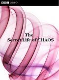 The Secret Life of Chaos - wallpapers.
