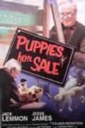 Puppies for Sale - wallpapers.