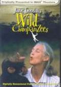 Jane Goodall's Wild Chimpanzees - wallpapers.