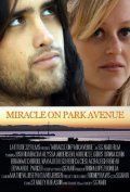 Miracle on Park Avenue pictures.