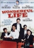 Wonderful Life pictures.