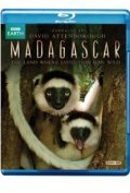 Madagascar pictures.