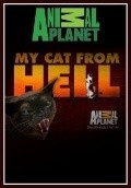 My Cat from Hell pictures.