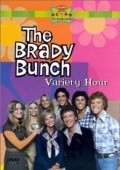 The Brady Bunch Variety Hour - wallpapers.