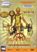 Pandavas: The Five Warriors - wallpapers.