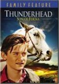 Thunderhead - Son of Flicka pictures.
