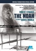 The Noah pictures.