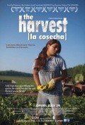 The Harvest/La Cosecha - wallpapers.