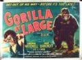 Gorilla at Large pictures.