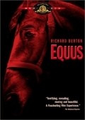 Equus - wallpapers.