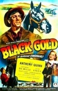 Black Gold pictures.
