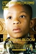 Thomas in Bloom pictures.