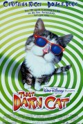 That Darn Cat - wallpapers.