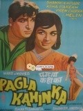 Pagla Kahin Ka - wallpapers.