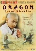 Long zai Shaolin pictures.