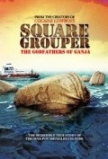 Square Grouper pictures.