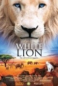 White Lion - wallpapers.