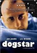 Dogstar pictures.