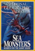 Sea Monsters: Search for the Giant Squid - wallpapers.