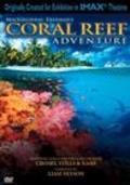 Coral Reef Adventure - wallpapers.