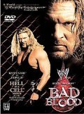WWE Bad Blood pictures.
