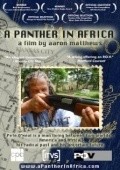 A Panther in Africa pictures.
