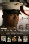 The Grass Grows Green - wallpapers.