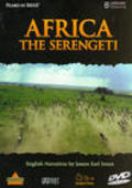 Africa: The Serengeti - wallpapers.