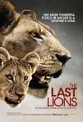 The Last Lions pictures.