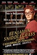 Benjamin Sniddlegrass and the Cauldron of Penguins - wallpapers.