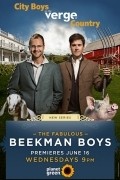 The Fabulous Beekman Boys pictures.