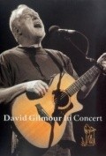 David Gilmour in Concert - wallpapers.