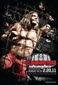 WWE Elimination Chamber - wallpapers.