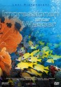 Impressionen unter Wasser - wallpapers.