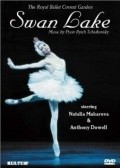 Swan Lake pictures.