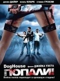 Doghouse - wallpapers.